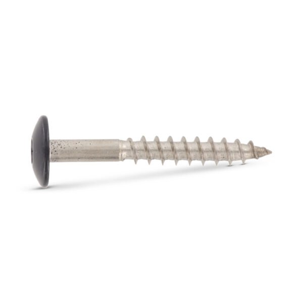 SCHÄFER + PETERS Fasadinis medvaržtis 4,8x38 TX20 A2 (100) RAL7016
