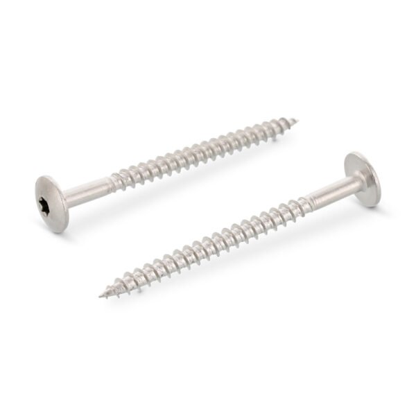 SCHÄFER + PETERS Fasadinis medvaržtis 4,8x38 TX20 A2 (100)
