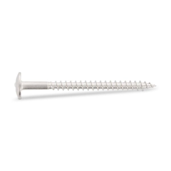 SCHÄFER + PETERS Fasadinis medvaržtis 4,8x38 TX20 A2 (100)