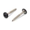 SCHÄFER + PETERS Fasadinis medvaržtis 4,8x38 TX20 A2 (100) RAL7016