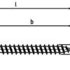 SCHÄFER + PETERS Fasadinis medvaržtis 4,8x38 TX20 A2 (100)
